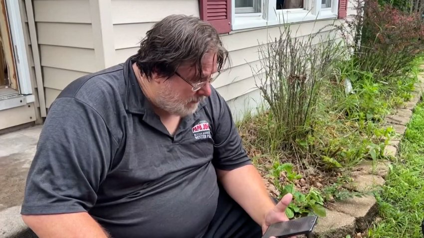 Man in Papa Johns shirt reads phone from stoop